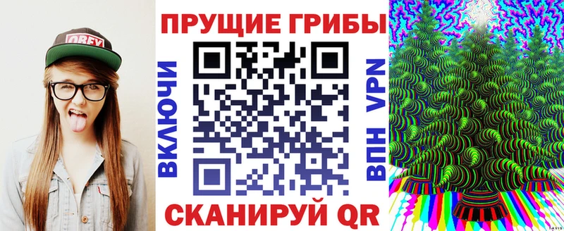 Псилоцибиновые грибы Psilocybe  мега зеркало  Вологда  где купить наркоту 