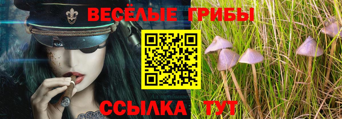 Вологда  Псилоцибиновые грибы Cubensis  Вход с VPN 